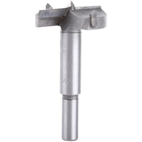 BUNTHAUS Foret Forstner en carbure cémenté pour le perçage du bois (42 mm)