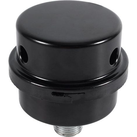 Filtre Silencieux pour Compresseur d'Air (3/8" Filetage 16mm) (1/5)