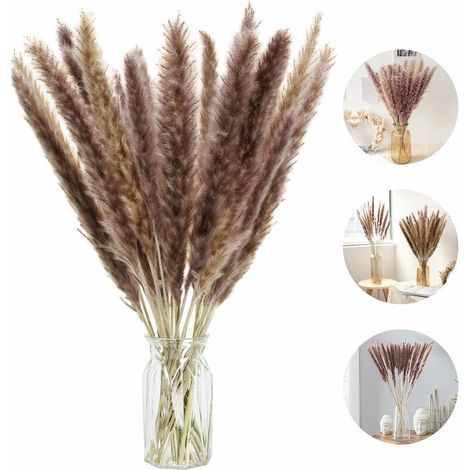 30 Pcs Natural Dried Small Pampas Grass, Phragmites Communis,Wedding and Photographing Flower Bunch for Home Decor (White, 30pcs) (1/5)