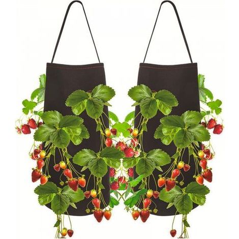 2pcs Sac de Plantation pour Fraise, Sac de Plantation de Pomme de Terre , Sac Potager avec la Fenêtre et la Poignée pour des Fraises, des Tomates, des Légumes (1/5)