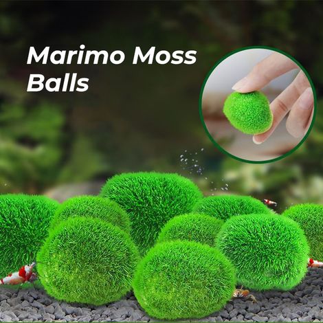 MIMOSON-Lot de 8 boules de mousse vivantes pour aquarium, algues vertes artificielles de 2 à 3 cm (1/5)