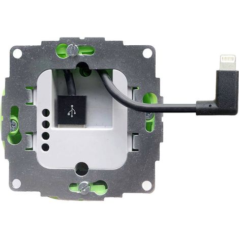 Smart Things Alimentation encastrable CA/CC s24 l Adapté pour type d'appareil Apple: iPad C603291 (1/2)