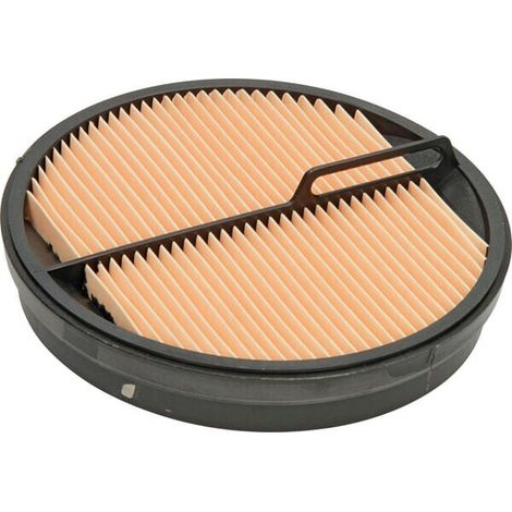 Filtro aire interior Donaldson DONALDSON P547520 (1/2)