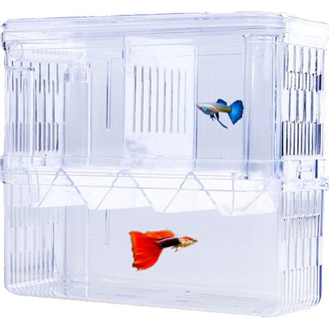 Lntyq PCS Aquarium Baby Nistplatz Aquarium Mini Aquarium Aquarium Zuchtbox Aquarium Isolationsbox mit Isolierfach (1/5)