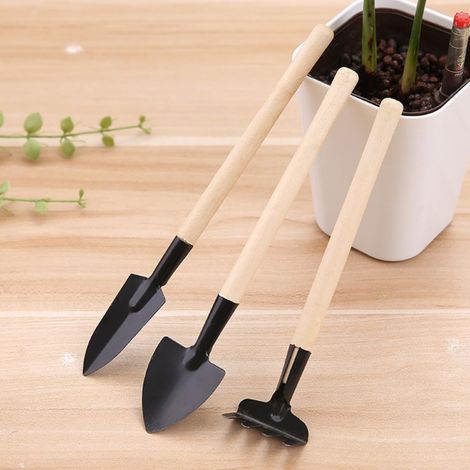Lot de 3 petits outils de jardinage avec poignée en bois - Mini pelle à terre - Râteau pour plantes d'intérieur - Plantes succulentes en pot - Mini pelle de jardin pour ameublir le rempotage (1/5)