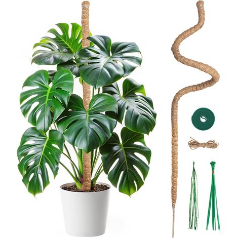 Tuteur Plante Grimpante Coco sur Piquet de Plante 120cm, Support Tuteur de Coco Largeur de 7mm Pliable Poteau de Croissance de Grimpantes (1/5)