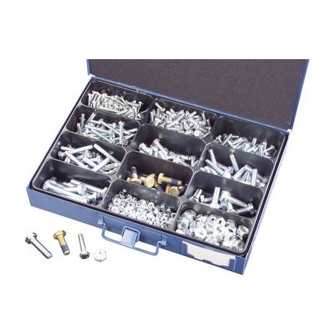 Set di viti schraubenvertrieb-ingo-korte assortiment zincato 8.8