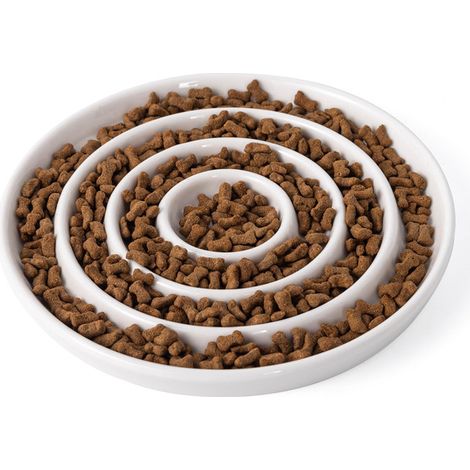 Gamelle anti-glouton en céramique pour chat - Bol plat et ergonomique pour éviter la fatigue des moustaches (1/5)
