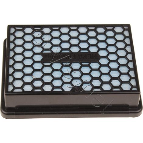 Filtre HEPA pour aspirateur traîneaux modèles F700,F800 Samsung - VCA-VH70 (1/3)
