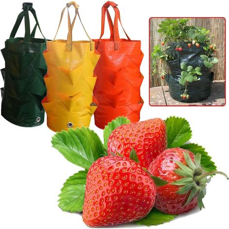MINKUROW Borsa Per Fragole - Borsa Per Piantare Fragole - 3 Galloni E 10 Fioriere Sospese In Tessuto Per La Bocca, Borse Per Coltivare Fragole E Erbe Di Pomodoro (3 Pezzi Per Verde, Arancione Giallo) (1/4)