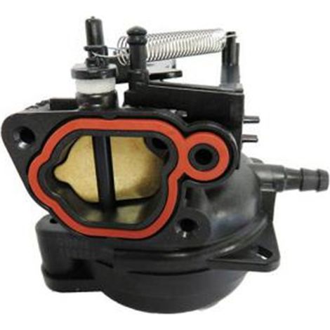 Carburateur Briggs & Stratton 591109 - 799584