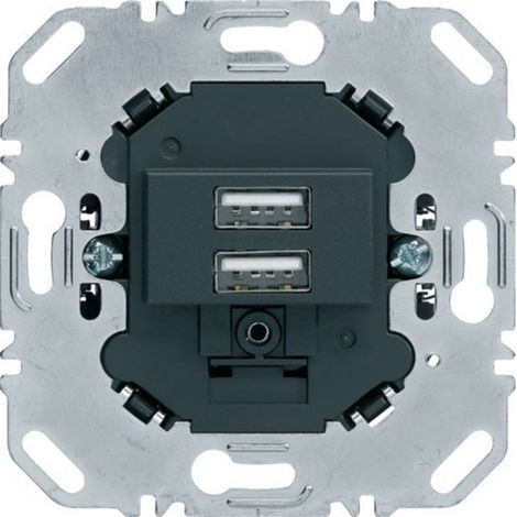 Berker 260205 presa USB antracite 230 V 3 A