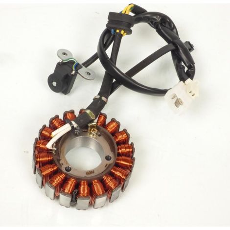 Lichtmaschine Rms für Roller Daelim 250 s2 2006 bis 2007 neu