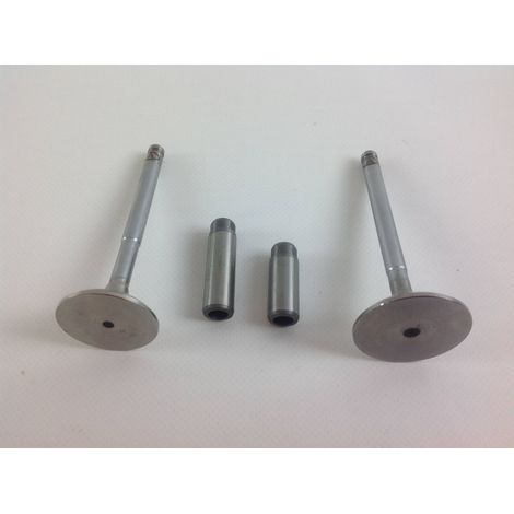 Kit valvole + guidavalvole motore diesel LOMBARDINI 904 914 720 723 8LD600-2