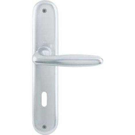Ferrures de portes 1510/273P F1 PZ 72/8mm (1/3)