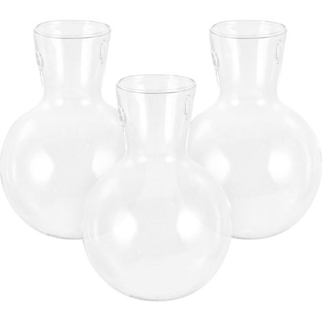 Hydroponik Vases aus Hochborosilikatglas mit Holzhalterung