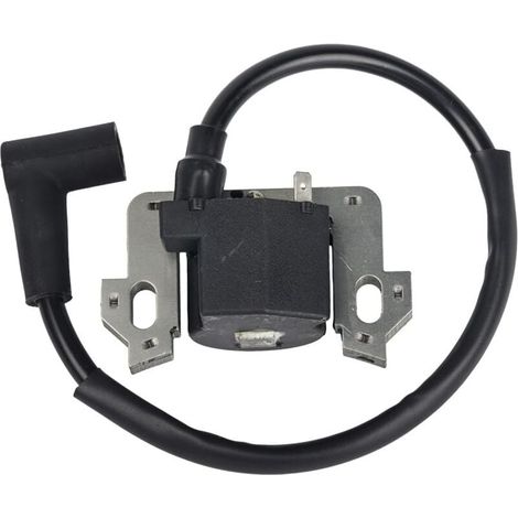 Zündspulenmodul kompatibel mit Honda GCV135 GCV160 GCV190 GSV160 (1/5)