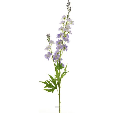 Tige de Delphinium poupre-blanc H 85 cm (1/3)