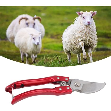 Coupe-sabots pour moutons, coupe-sabots pour porcs, coupe-ongles pour animaux, outils de coupe-sabots pour vaches, rouge. (1/5)