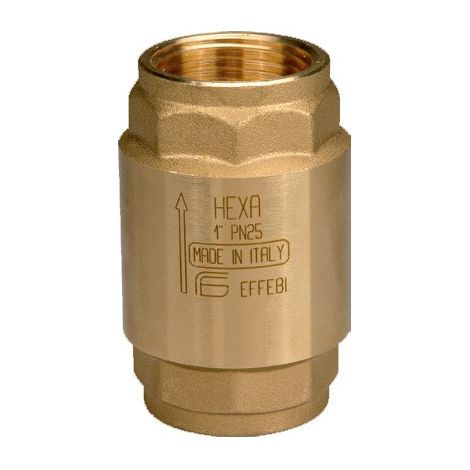 Valvola di ritegno HEXA ø4" FF 2301G412 - - EFFEBI - -