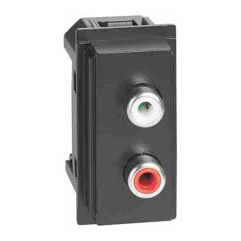 Module double RCA BTIKG4269R