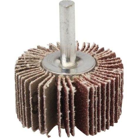 Meule abrasive de 40 mm, grain 80 (1/3)