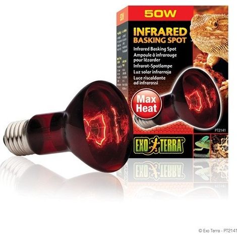 Spot crogiolarsi a infrarossi Exo Terra 50 W