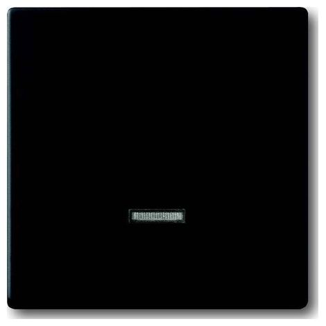 BUSCH-JAEGER 6543-885-101ELÉMENT DE COMMANDE, APPAREIL DE COMMANDE À TOUCHE À MÉMOIRE BUSCH, NOIR MAT, FUTURE
