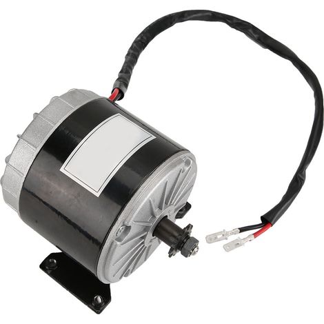 Moteur à courant continu haute vitesse MY1016 24 V 350 W à balais, 2 750 tr/min, à aimant permanent, pour scooter électrique (1/5)