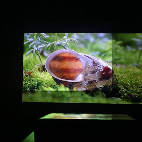 Écran de Projection Mobile 50 à 120 Pouces Format 16:9, 221x125 cm, Pour Cinéma Maison et Films 3D