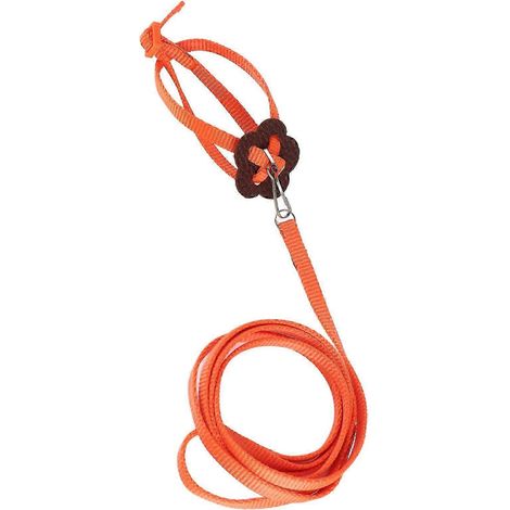 Harnais pour oiseau, laisse pour perroquet réglable, corde anti-morsure en nylon pour le dressage en extérieur (orange) (1/5)