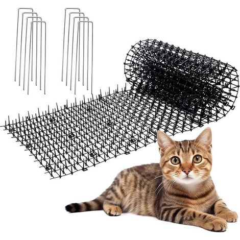 Haustiersichere Matte – 200 x 30 cm – Stabile Kunststoffspitzen – Für den Innen- und Außenbereich (Garten) – 1 Stück (1/5)