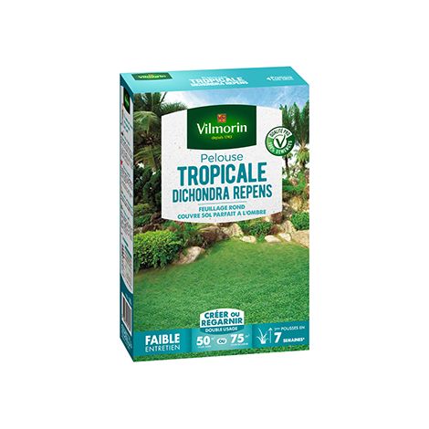 Pelouse tropicale dichondra repens 500 g – Couvre-sol adapté zones d'ombre – Feuillage rond vert franc – Vilmorin