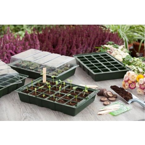 Nature – Mini serre 4 terrines en plastique souple – Plateaux 24 alvéoles – Dimensions H11x35x23,5 cm – Protection UV pour germination (1/5)