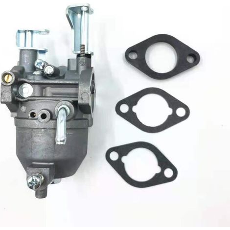 Carburetor Briggs & Stratton 715473 138432 138437 138462 (1/5)