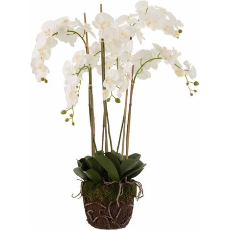 Fleur Artificielle Déco "Orchidée en Terre" 98cm Blanc (1/2)
