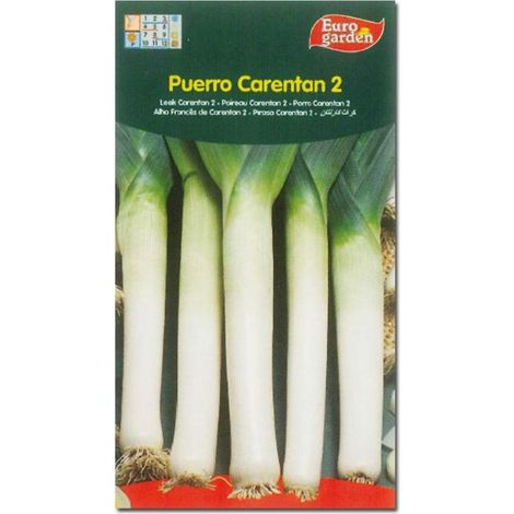 semillas fito horticolas puerro verde de carentan 2 00261 (caja 10 unidades)