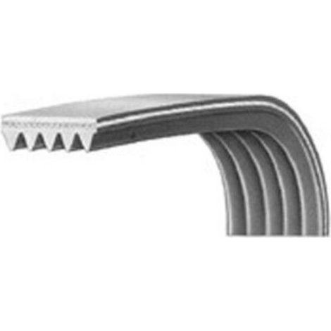 Courroie 1194J5 C00029794 pour Lave linge BAUKNECHT, ESSENTIEL B, HOTPOINT ARISTON, IGNIS, INDESIT, PRIVILEG, SCHOLTES, WHIRLPOOL, LAVE LINGE HUBLOT ENCASTRABLE ESSENTIELB EELF814-1B, LAVE LINGE HUBL