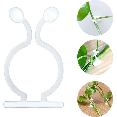 Pflanzenclips, 50 Stück Kletterpflanzenclips, selbstklebende Weinpflanzenhalter, Weinberg, verstellbare Wandhalterungsclips, unsichtbare Kabelclips zur Befestigung von Kabelhaltern (1/5)