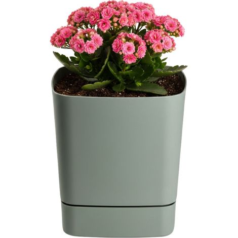 CUBI Recycling-Blumentopf mit Untersetzer, graugrün, 19 x 19 cm