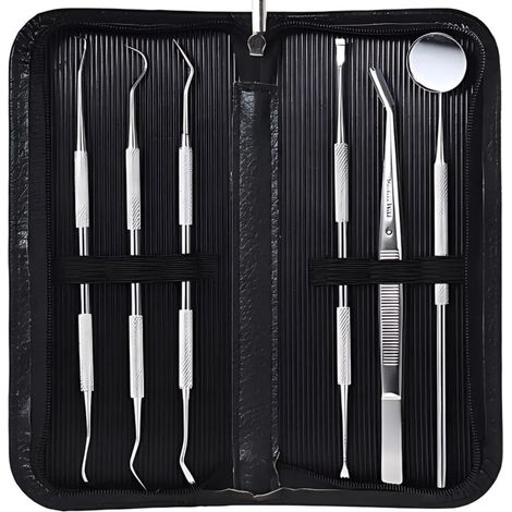 Zahnarzt-Set – professionelle zahnärztliche Instrumente, 6-teilig (1/4)