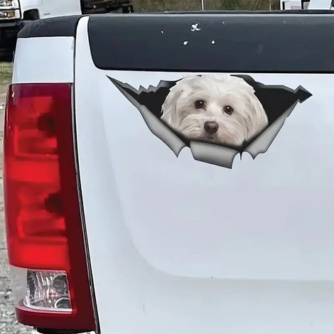 Lntyq Autoaufkleber, 15 cm (5,9 Zoll), weißer 3D-Reflexaufkleber, zerrissener Autoaufkleber, Haustierhund, lustiger Autoaufkleber (1/4)