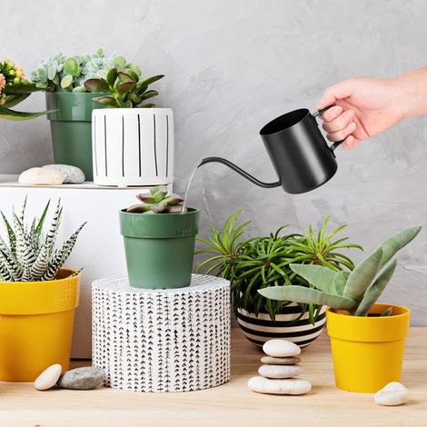 Schwarze 350-ml-Gießkanne für kleine Zimmerpflanzen, Mini-Gießkanne, Edelstahl-Gießkanne mit langem Ausguss, Gartengießkanne für Zimmerpflanzen und Sukkulenten