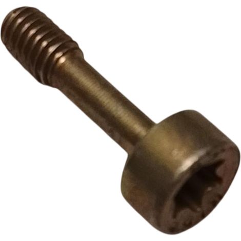 Tornillo Tapa Bujia compatible con Fs360  Ref 915731