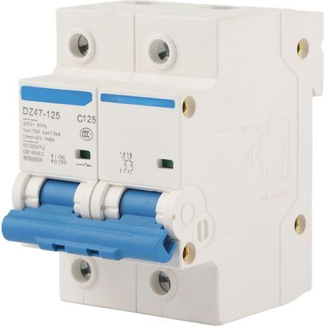 400V 80/100/125A Leakage Protection Switch, DZ47-125 2P (125A) Miniature Circuit Breaker (1/5)