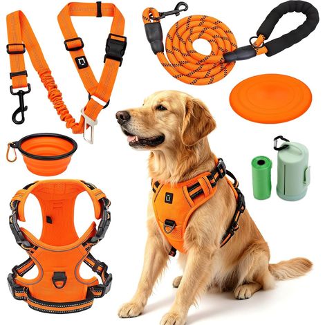 Harnais pour Chien Laisse pour Chien avec Ceinture de sécurité pour Chien (1/5)