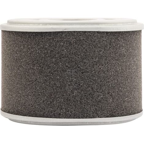 Filtre à air MANN-FILTER C10015