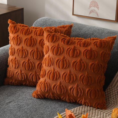 Lot de 2 housses de coussin automnales 40x40 cm - Décoration rustique citrouille, housses de coussin douces en polaire pour canapé, fauteuil, chambre et salon - Décoration d'intérieur automnale (1/4)