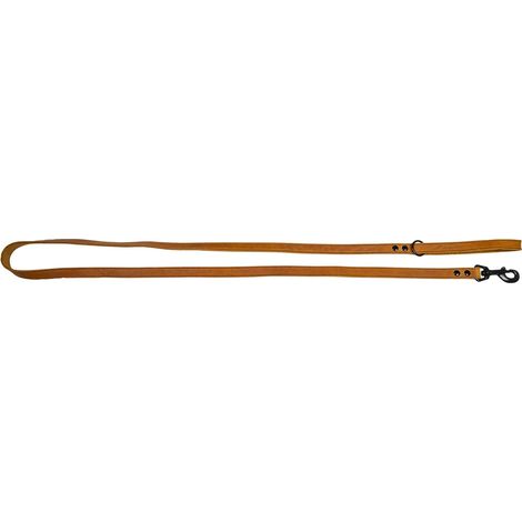 Laisse pour Chien 180 cm x 18 mm Cognac