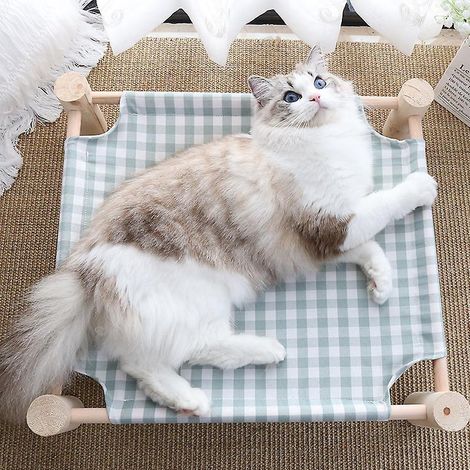 lit Pour Chat Adulte Cat Bed Intrieur Extrieur Lit De Surlev Camp Hamac Pour Petit Chien Chiot Lapin Facile Assembler Et Laver (1/4)